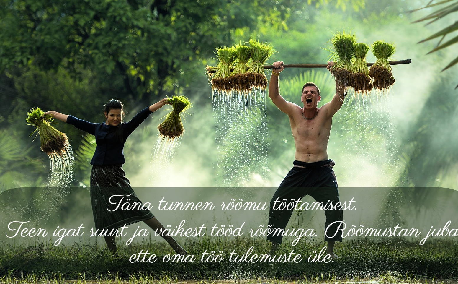 töörõõm